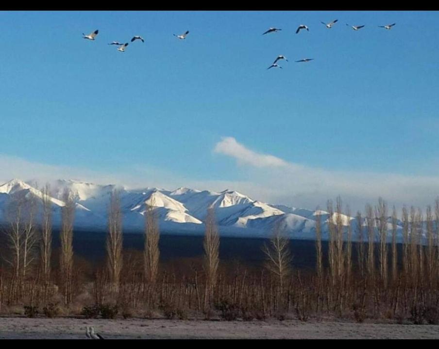Rio Los Patos Barreal Buitenkant foto